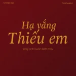 Font VL Adriane Swash – Font Việt hoá