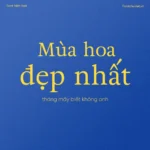 Font VL Adriane Text – Font Việt hoá