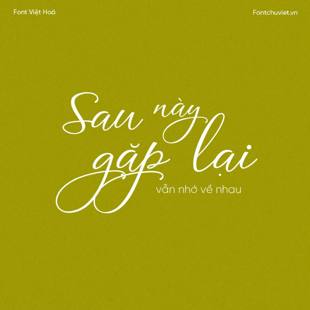 Font VL Agile Script Calligraphy – Font Việt hoá