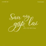 Font VL Agile Script Calligraphy – Font Việt hoá