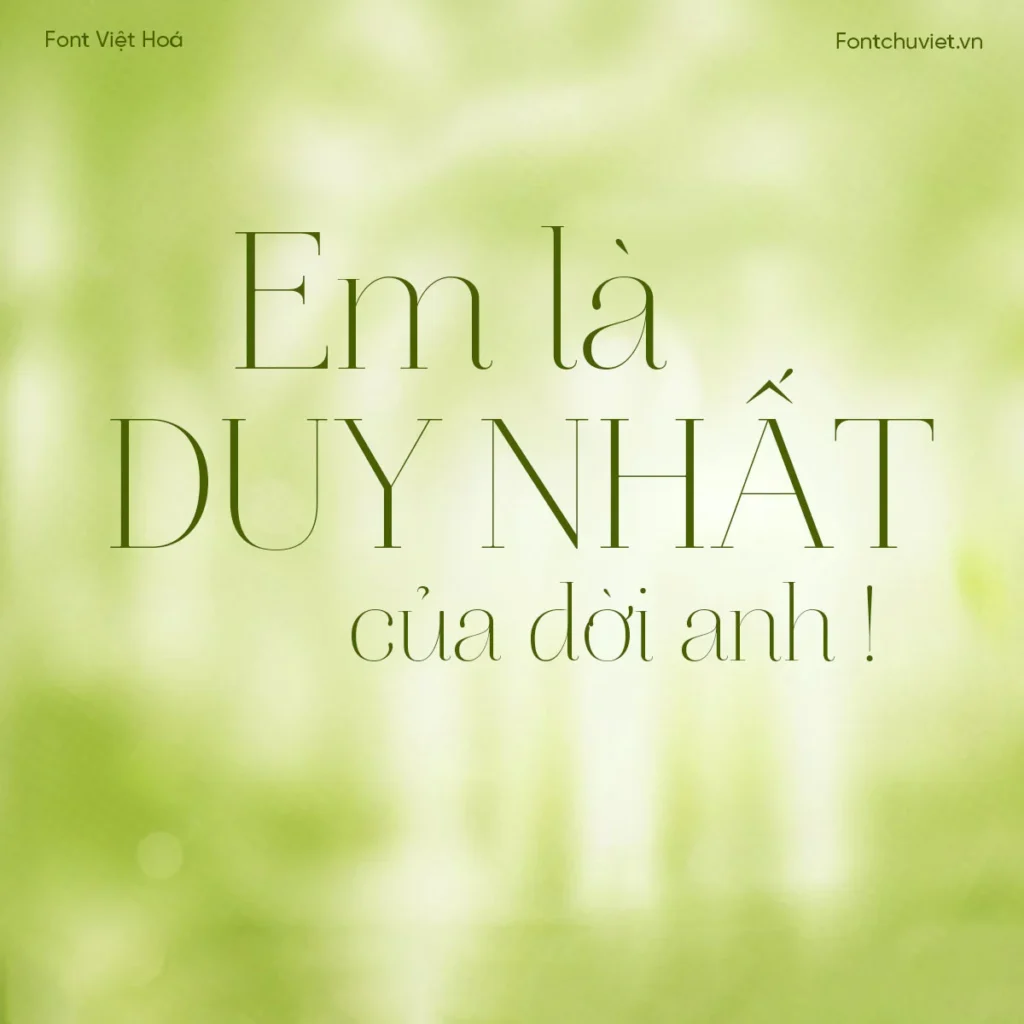 Font VL Aire Roman Pro – Font Việt hoá