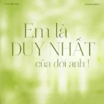 Font VL Aire Roman Pro – Font Việt hoá