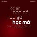 6 Font VL Ample Soft – Font Việt hoá