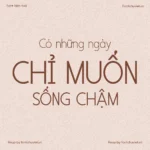 Font VL Ariona – Font Việt hoá