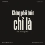 Font VL Aturdida – Font Việt hoá