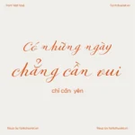 2 Font VL PretAPorterContrast – Font Việt hoá