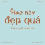Font VL Bong Hoa Regular – Font Việt hoá