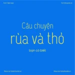 Font VL Capsuula Regular – Font Việt hoá