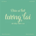 Font VL Ciao Bella Regular – Font Việt hoá