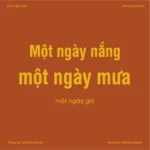 Font VL Helvetica Rounded LT Std Cn Bold – Font Việt hoá