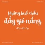 Font VL Stella Regular – Font Việt hoá