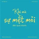 Font VL Wild Pen – Font Việt hoá